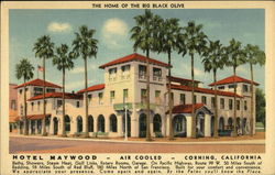 Hotel Maywood Corning, CA Postcard Postcard