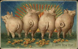 Rear of pigs, tails with date 1910 Postcard Postcard