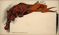 Princeton University Tiger School Pennants Postcard Postcard Postcard