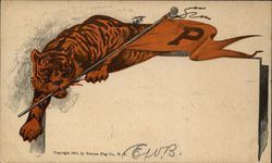 Princeton University Tiger School Pennants Postcard Postcard Postcard