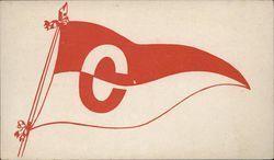 Cornell University Pennant Postcard