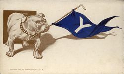 Yale Bulldog With Flag School Pennants Postcard Postcard Postcard