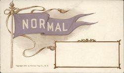 Southern Minnesota Normal College Flag School Pennants Postcard Postcard Postcard