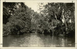 Rare Looking Up Soquel Creek 5941 Capitola, CA Postcard Postcard Postcard