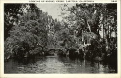 Looking Up Soquel Creek Postcard