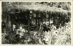 Tea Garden Capitola, CA Postcard Postcard Postcard