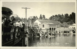 Crowd Watching Divers Capitola, CA Postcard Postcard Postcard