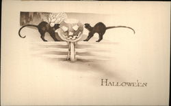 Two Black Cats on Fence With Jack O'Lantern Postcard