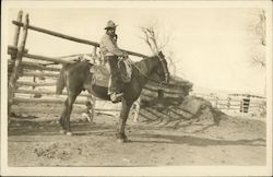 Cowboy on Horseback, Holstered Revolver Gun Belt Cowboy Western Postcard Postcard Postcard