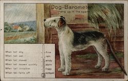 Dog Barometer Spring Tail Novelty Dogs Postcard Postcard Postcard