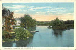 Looking Up Cocheco River Postcard