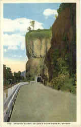 Oneonta Bluffs Postcard