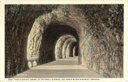 Day Lighted Tunnel At Mitchell's Point Postcard