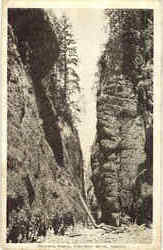 Oneonta Gorge, Columbia River Postcard