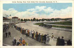 Horse Racing Postcard