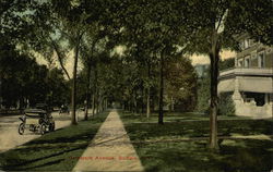 Delaware Ave. Buffalo, NY Postcard Postcard Postcard