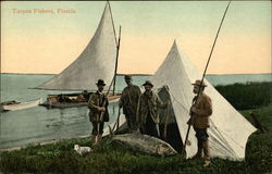 Tarpon fishers with their catch Florida Postcard Postcard Postcard