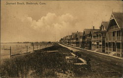 Stannard Beach Postcard