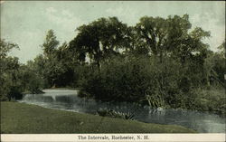 The Intervale Postcard