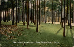 The Grove, Pinehurst Park Worcester, MA Postcard Postcard Postcard