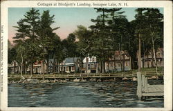 Cottages at Blodgett's Landing Lake Sunapee, NH Postcard Postcard Postcard