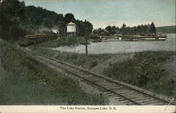 The Lake Station Lake Sunapee, NH Postcard Postcard Postcard