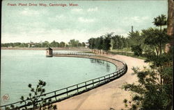 Fresh Pond Drive Way Cambridge, MA Postcard Postcard Postcard