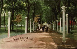 Coney Island Park Postcard