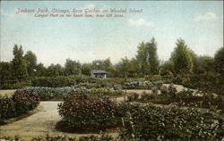 Jackson Park, Rose Garden on Wooded Island Chicago, IL Postcard Postcard Postcard