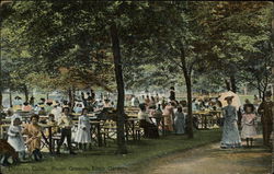 Picnic Grounds, Elitch Gardens Denver, CO Postcard Postcard Postcard