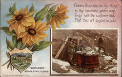 Mining Scene and Sunflower - State Flower Postcard