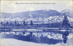 Bitter Root River and Mountains Postcard