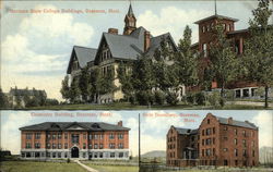 Montana State College Buildings Postcard