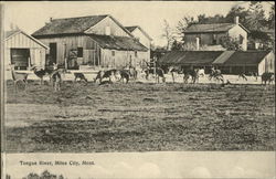 Tongue River Miles City, MT Postcard Postcard Postcard