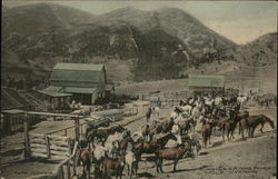 Corrals, Eaton's Ranch Postcard