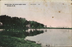 Spring Lake, ten acres under water Postcard