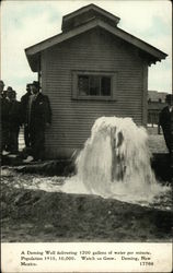 Well Delivering 1200 Gallons of Water Per Minute Deming, NM Postcard Postcard Postcard