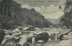 Sabino Canyon, Catalina Mountains Tucson, AZ Postcard Postcard Postcard