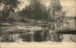 Madrona Park, Lake Washington Postcard