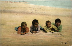 Puget Sound Sand Fleas Washington Postcard Postcard Postcard