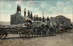 One of a thousand Washington wheat scenes Spokane, WA Postcard Postcard Postcard