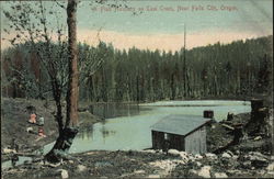 A Fish Hatchery on Teal Creek Falls City, OR Postcard Postcard Postcard