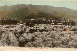 View of Town in Blossom Time Los Gatos, CA Postcard Postcard Postcard