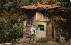 Shack Home Built Into Downed Tree Postcard