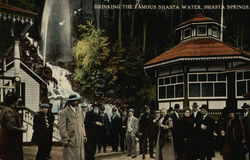 Drinking the Famous Shasta Water, Shasta Springs Postcard