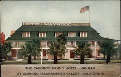 The Favorite Family Hotel Postcard