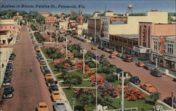 Azaleas in Bloom, Palafox Street Postcard