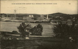 Maine seaboard paper company mills, Penobscot River Bucksport, ME Postcard Postcard Postcard