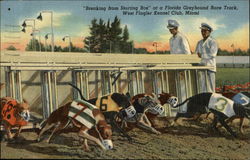 West Flagler Kennel Club Miami, FL Postcard Postcard Postcard