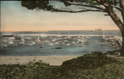 Breakwater and Yacht Harbor Postcard